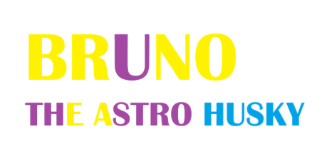 Bruno the Husky - in the Universe
